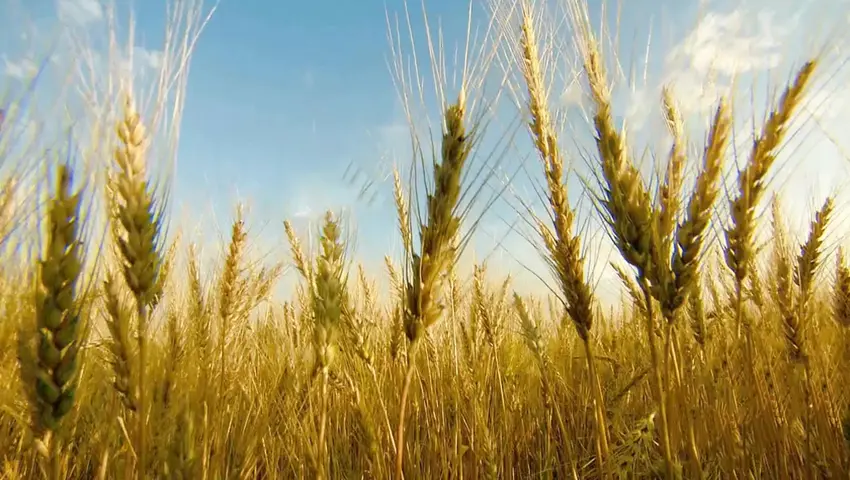 《二十四节气》第10集