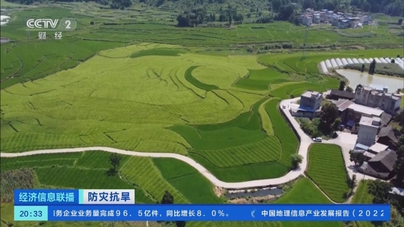 经济信息联播 《经济信息联播》 20220812