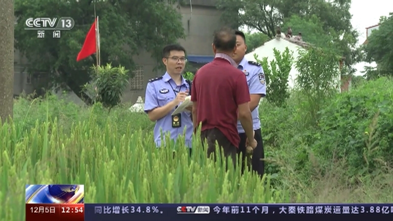 法治在线 《法治在线》 20231205