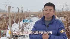 致富经 [致富经]冰天雪地 做黑豆腐 让他年卖7000万 20190124