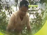 我爱发明 《我爱发明》 20170701 割苗助长