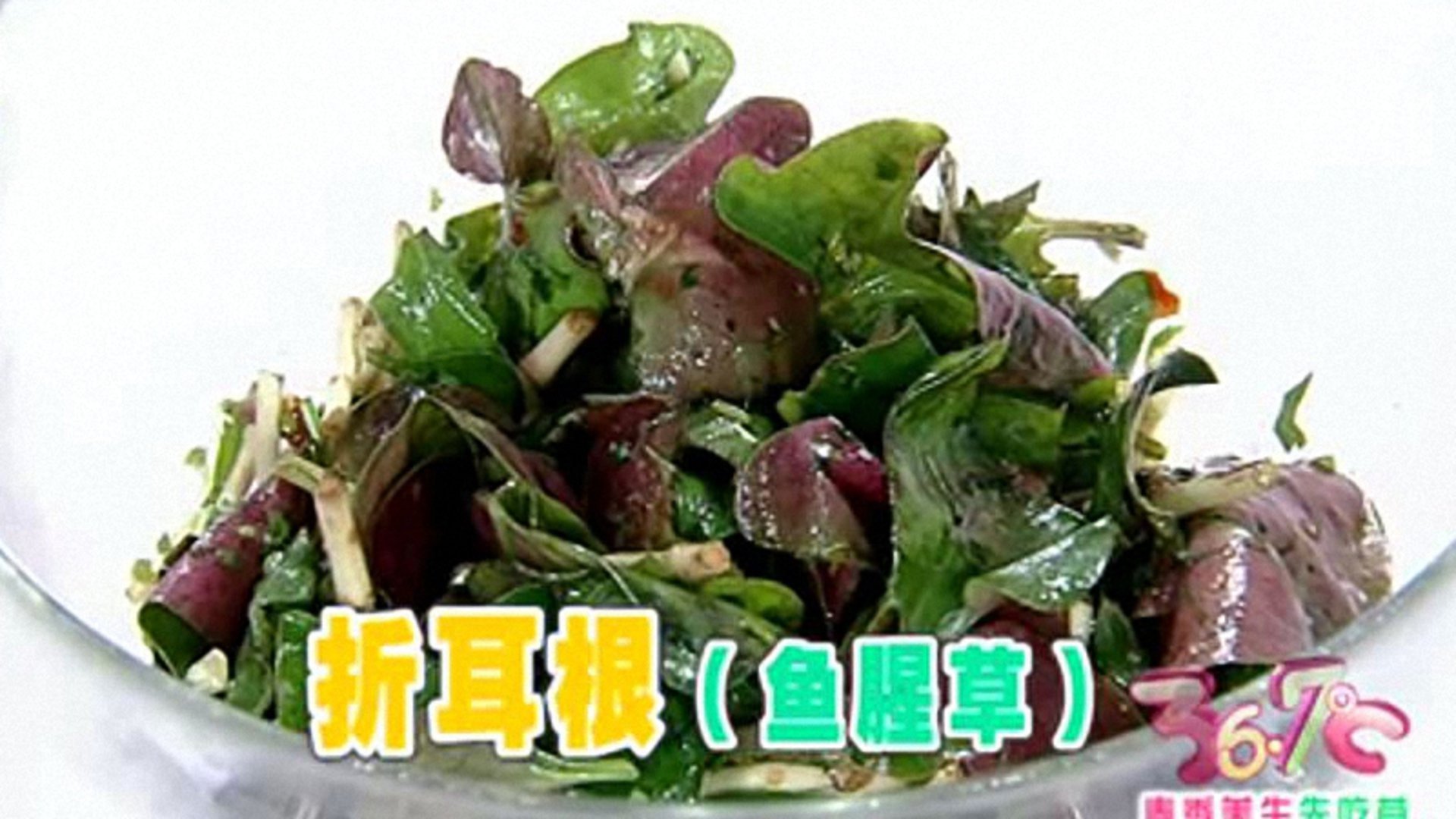 36.7℃明星听诊会 春季养生之吃“草”