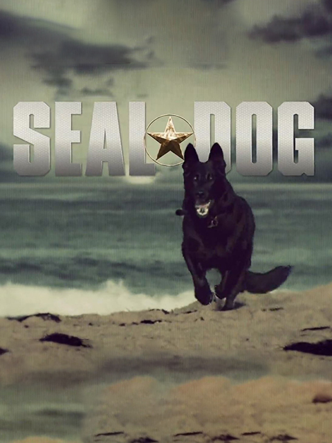 海豹突击犬 海报