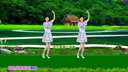 流行DJ广场舞及教学 第三季 广场舞《等你等了那么久》新32步附分解