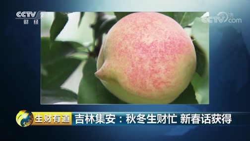 生财有道 《生财有道》 20190315 话说获得感 吉林集安：秋冬生财忙 新春话获得