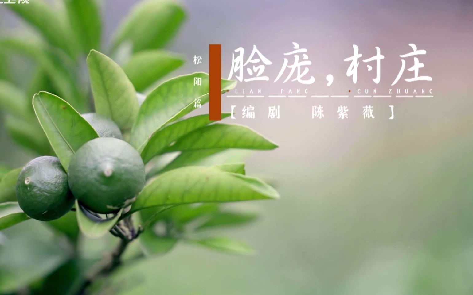 松阳篇：脸庞，村庄