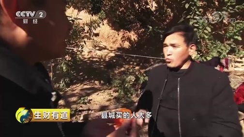 生财有道 《生财有道》 20181204 咱们家乡有特产——河南渑池：红柿子 好生活