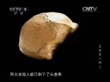 《发现之路》 20110402 《史前食人族》 下集