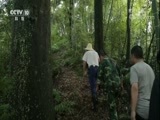 地理中国 《地理中国》 20180324 探秘地下空间·地下迷藏