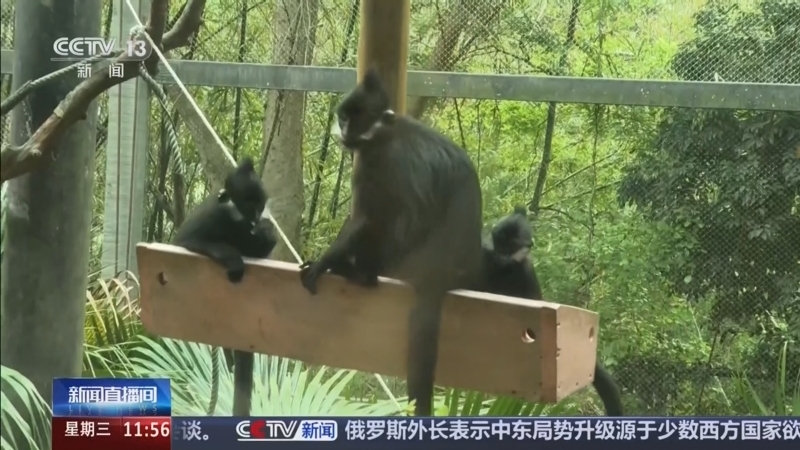 《新闻直播间》 20260325 11:00