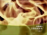 走近科学 《走近科学》 20150331 引擎的新革命（上）