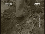 地理中国 《地理中国》 20130121 丹江探秘·红鱼迷踪