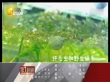 第一时间 《第一时间-辽宁》 20180604