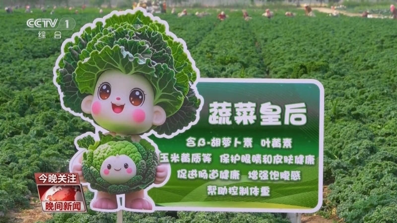 晚间新闻 《晚间新闻》 20250702