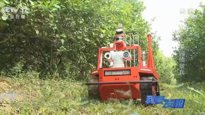 我爱发明 《我爱发明》 20200224 果园侦察兵