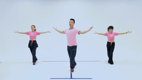 健身广场舞 天天益舞《粉红的回忆》