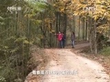 地理中国 《地理中国》 20160417 桐庐幻境 （下）