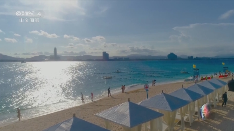 远方的家 《远方的家》 20240802 盛夏去看海 浪间起舞 与海为伴