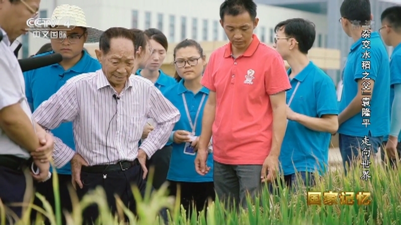 国家记忆 《国家记忆》 20220520 “杂交水稻之父”袁隆平 走向世界