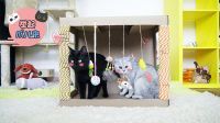 举起爪儿来 铲屎官自制升级版猫咪玩具纸箱 猫主子玩得合不拢腿 17
