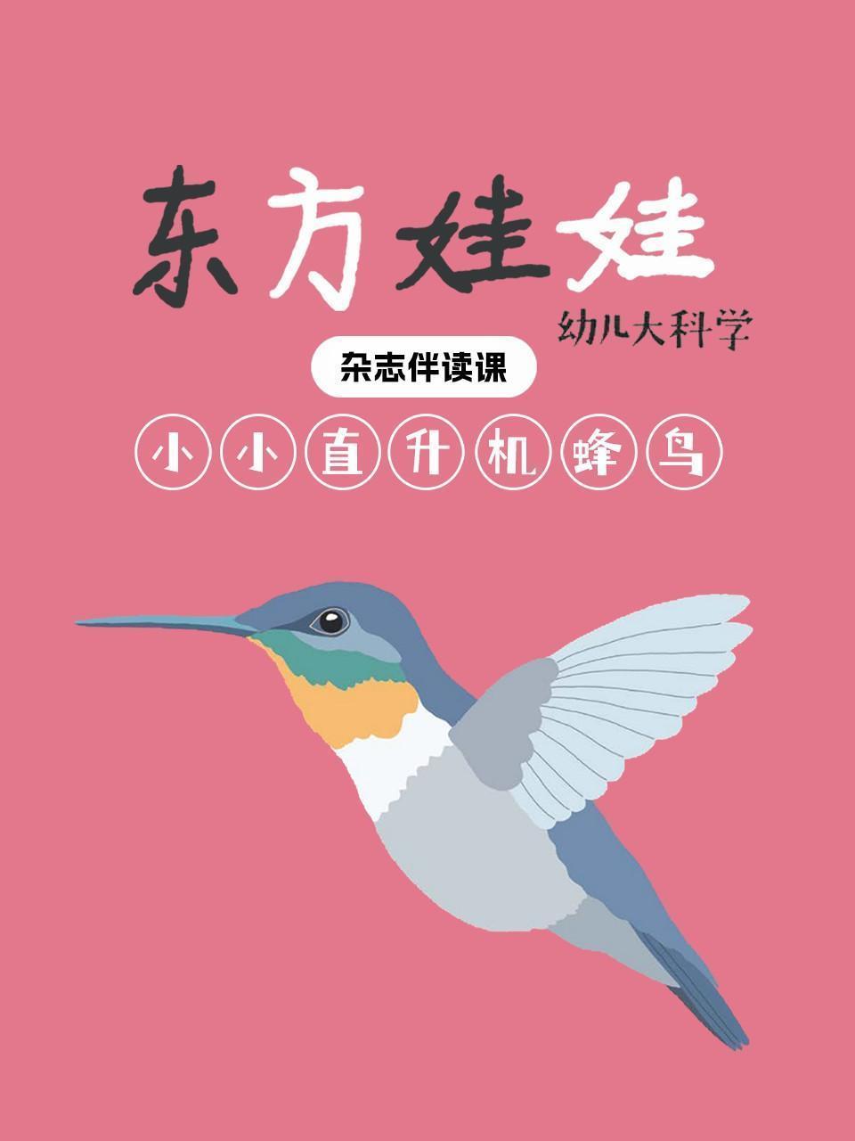 东方娃娃幼儿大科学：小小“直升机”蜂鸟