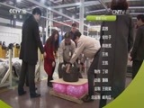 我爱发明 《我爱发明》 20170309 别样的忠诚 警界群英