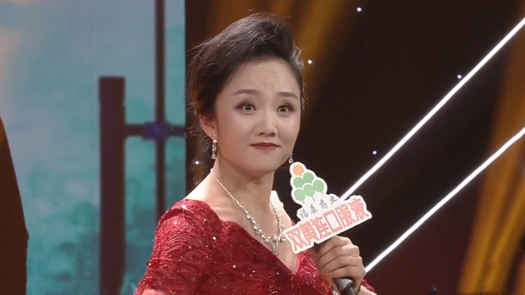 梨园春天天看 蒋芳芳 豫剧《五世请缨》选段