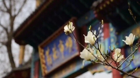 四海漫游 什刹海的记忆