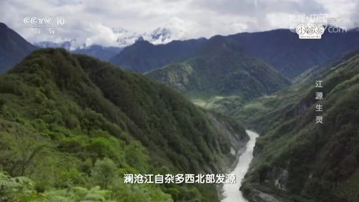 地理中国 《地理中国》 20190223 奇居胜境·江源生灵