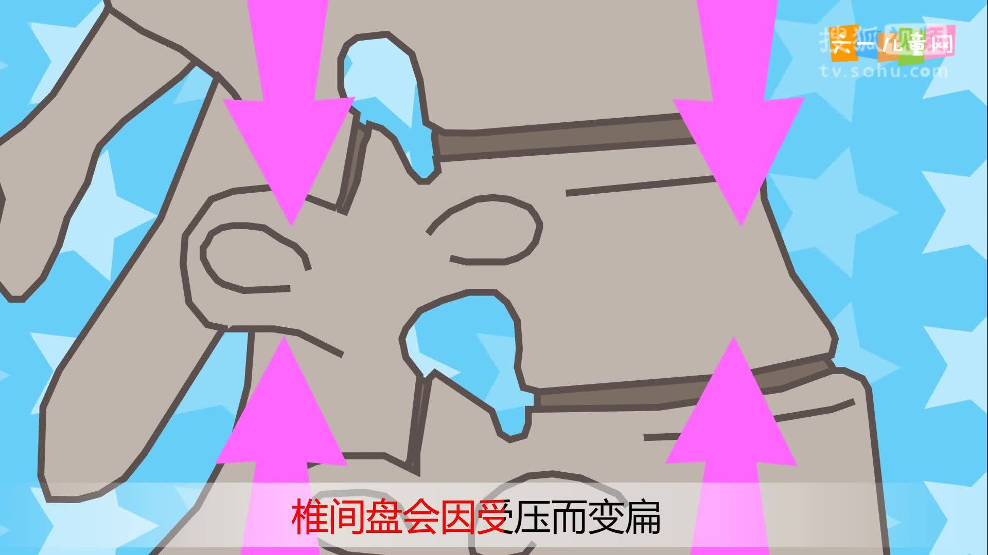 嘟拉十万个为什么 嘟拉十万个为什么 188为什么人的身高早晚不一样