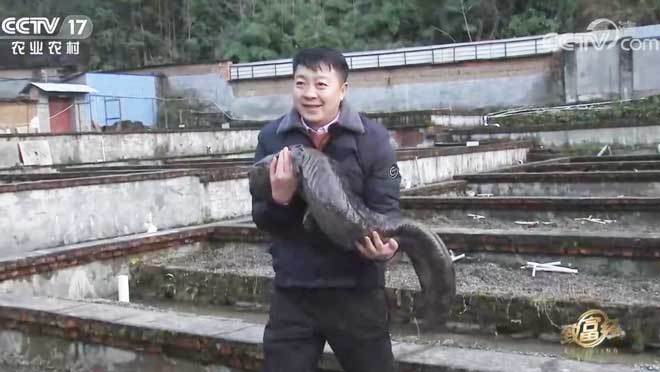 致富经 《致富经》 20201102 欠款400多万后的财富逆袭