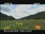 北纬30&deg;&middot;中国行 （下） 《远方的家》北纬30°·中国行 第一百六十七集 高原上的江南  20130222