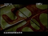 《发现之路》 20110126 《天书》 （上）