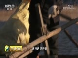 生财有道 《生财有道》 20180118 吉林集安：冰雪葡萄 火红生意
