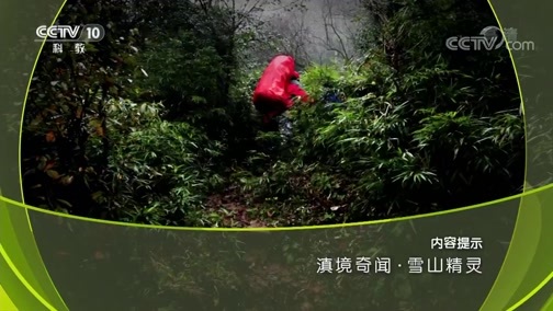 地理中国 《地理中国》 20180908 滇境奇闻·雪山精灵