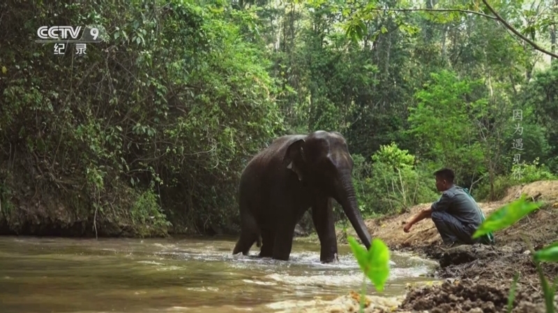 《因为遇见你》 第4集 相逢在人间