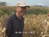 我爱发明 《我爱发明》 20141111 五谷丰登