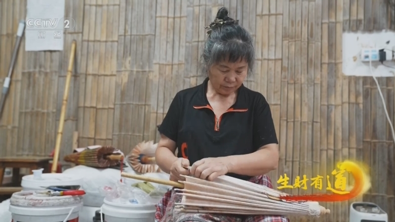 生财有道 《生财有道》 20240904 禾下好乘凉 稻鱼共生财
