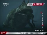 动物世界 《动物世界》 20161229 穿越时空觅恐龙（上）