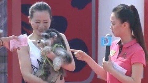 男生女生向前冲 美女组团带着宠物来闯关