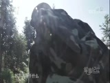 军事纪实 《军事纪实》 20171221 新兵连的故事——毕业拉练记
