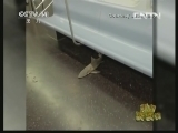 新闻袋袋裤 《新闻袋袋裤》 20130813