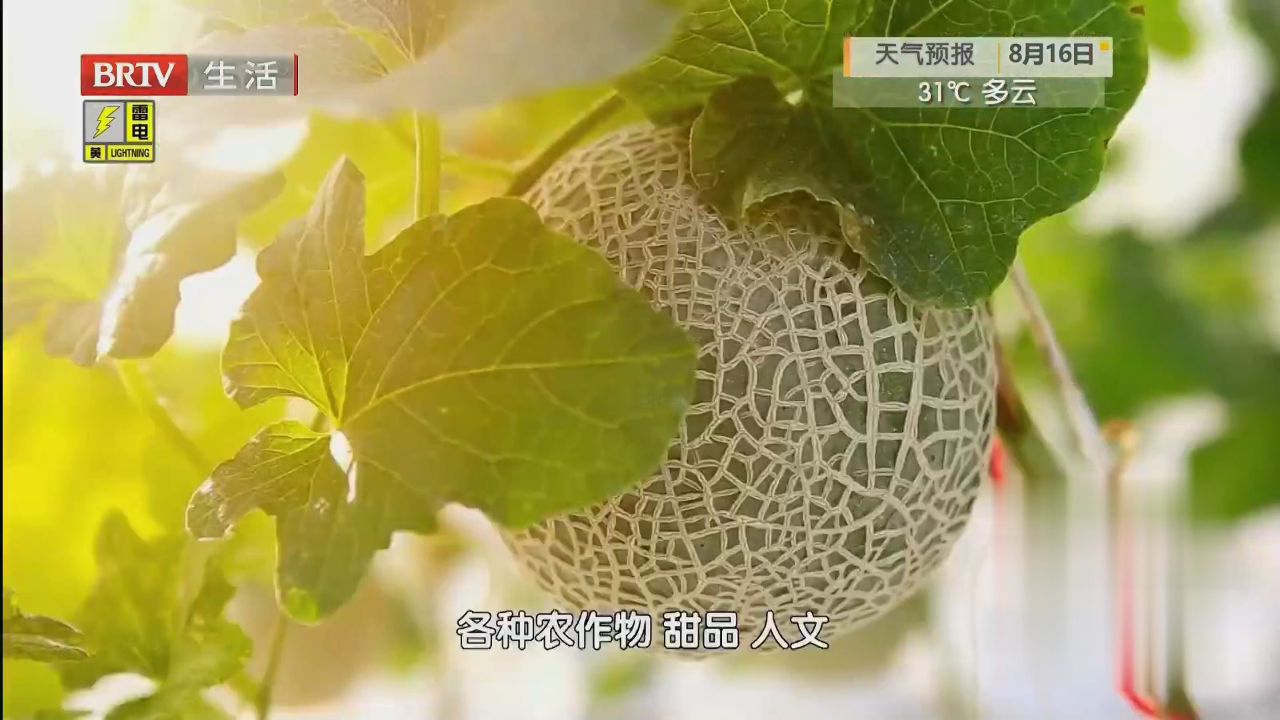 味道掌门 一生寻鲜  味足心安——三江之水进京华