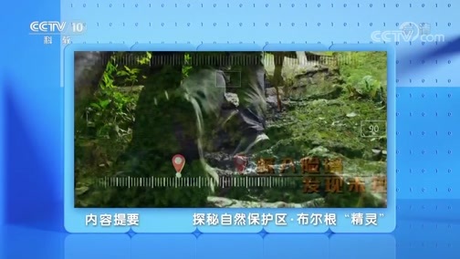 地理中国 《地理·中国》 20200208 探秘自然保护区·布尔根“精灵”