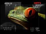 动物世界 《动物世界》 20110902