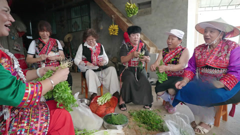 蓼草添香牛汤锅 花腰傣家聚亲情