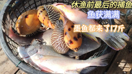 南澳岛赶海日记 休渔期前的最后一次捕鱼，捕获的渔获特多，光大墨鱼就来了17斤