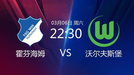 2020-2021德甲联赛第24轮 霍芬海姆VS沃尔夫斯堡