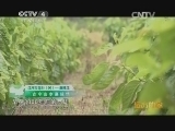 远方的家 江河万里行 第90集 嘉陵江 古今山水嘉陵情 20140902《远方的家》