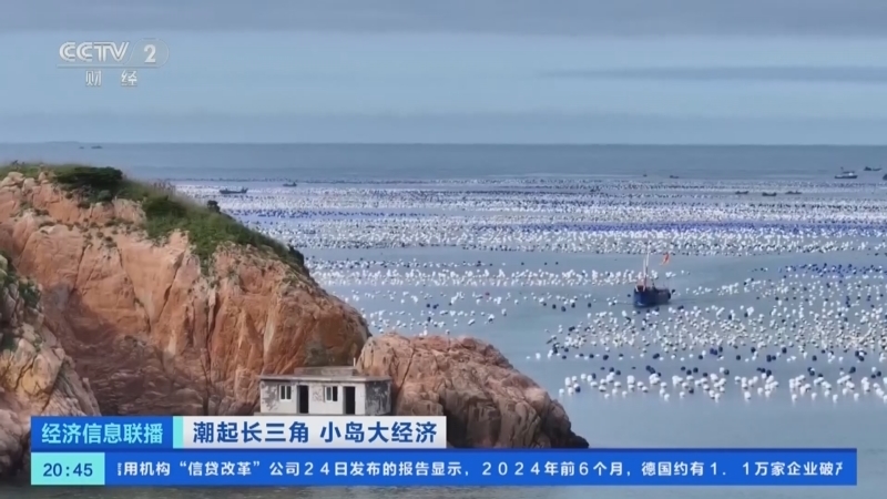 经济信息联播 《经济信息联播》 20240625